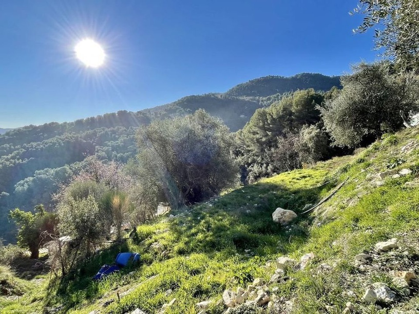 Achat immobilier Terrain   3015m2 à Contes (06390) - Photo n°4