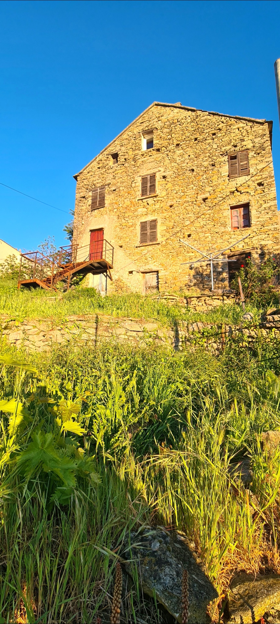Achat immobilier Maison 5 pièces  111m2 à Poggio-di-Venaco (20250) - Photo n°6