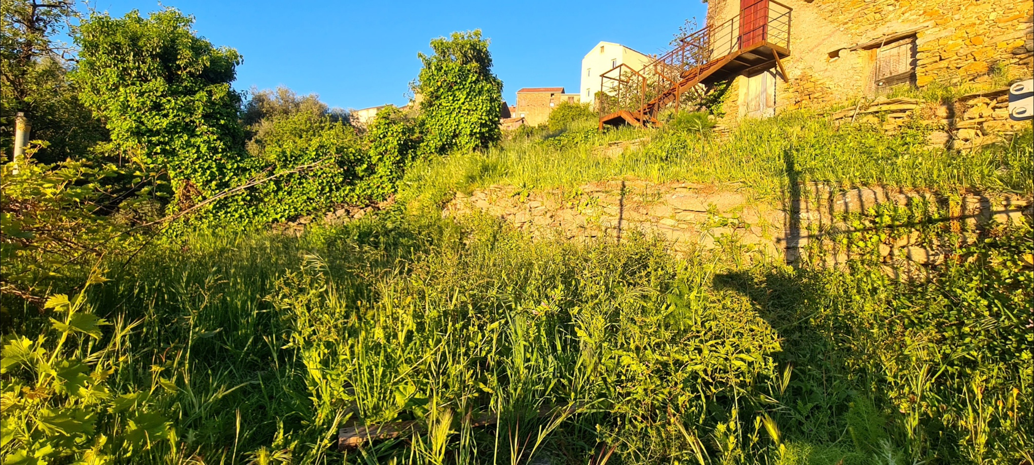 Achat immobilier Maison 5 pièces  111m2 à Poggio-di-Venaco (20250) - Photo n°5