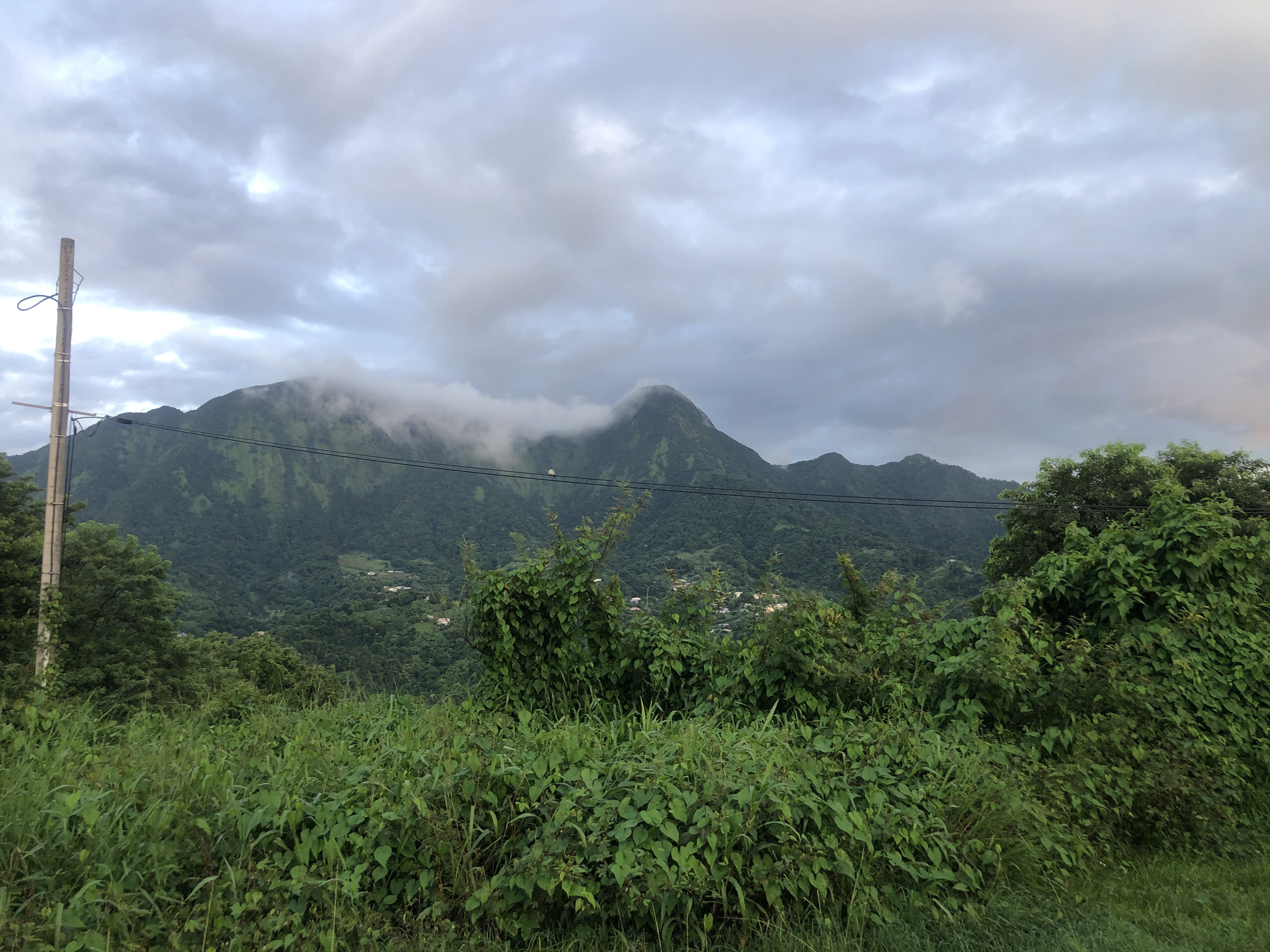 Terrain 19800 m² · à Le Morne-Vert · 19 800 m² · 1 650 000 €