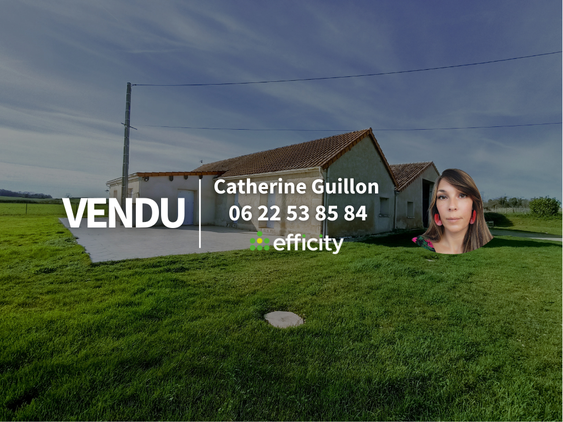 maison 7 pièces - 318m2 à Bonnes (86300)