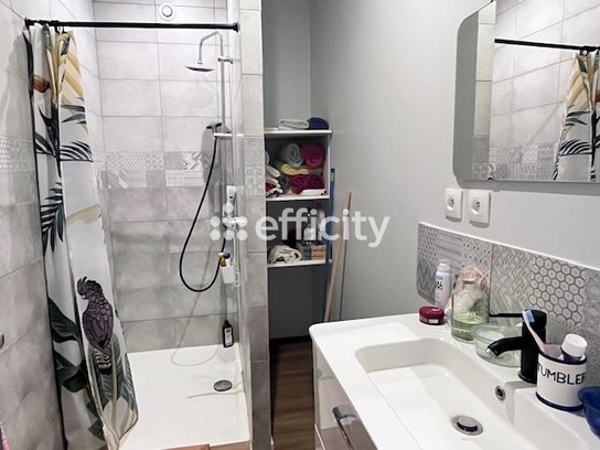 Achat immobilier Maison 6 pièces  196m2 à Mirambeau (17150) - Photo n°18