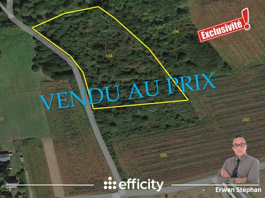 terrain  - 9030m2 à Saint-Jean-Trolimon (29120)
