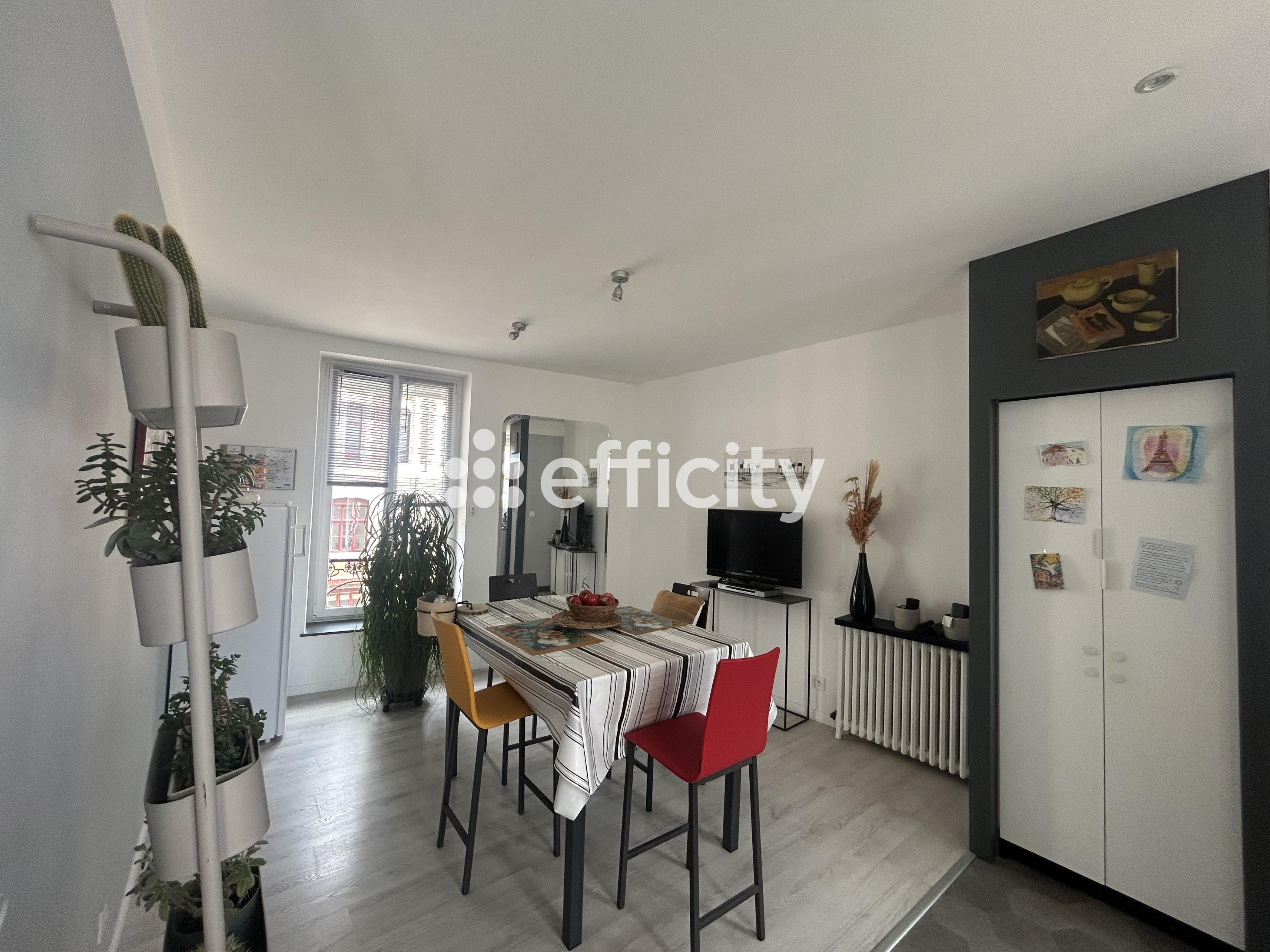 Achat immobilier Appartement 8 pièces  222m2 à Roanne (42300) - Photo n°5