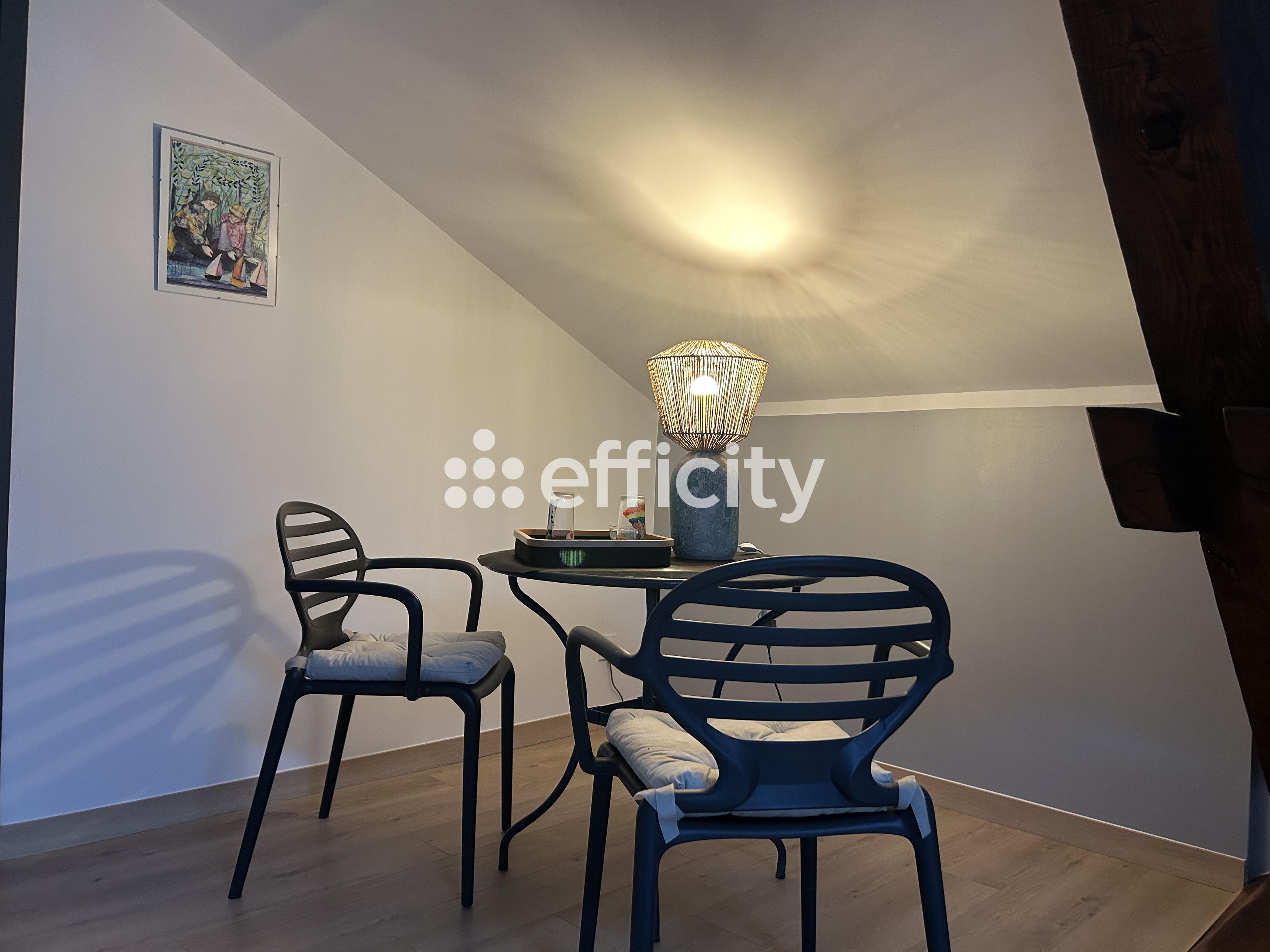 Achat immobilier Appartement 8 pièces  222m2 à Roanne (42300) - Photo n°11