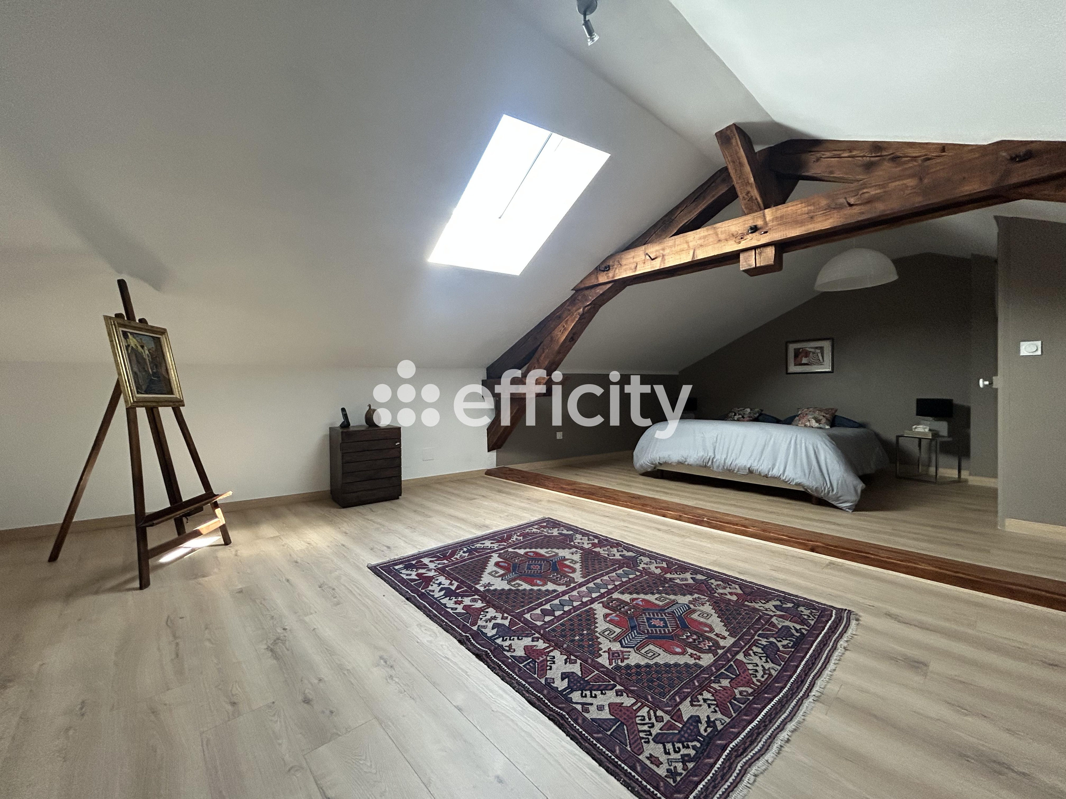 Achat immobilier Appartement 8 pièces  222m2 à Roanne (42300) - Photo n°7