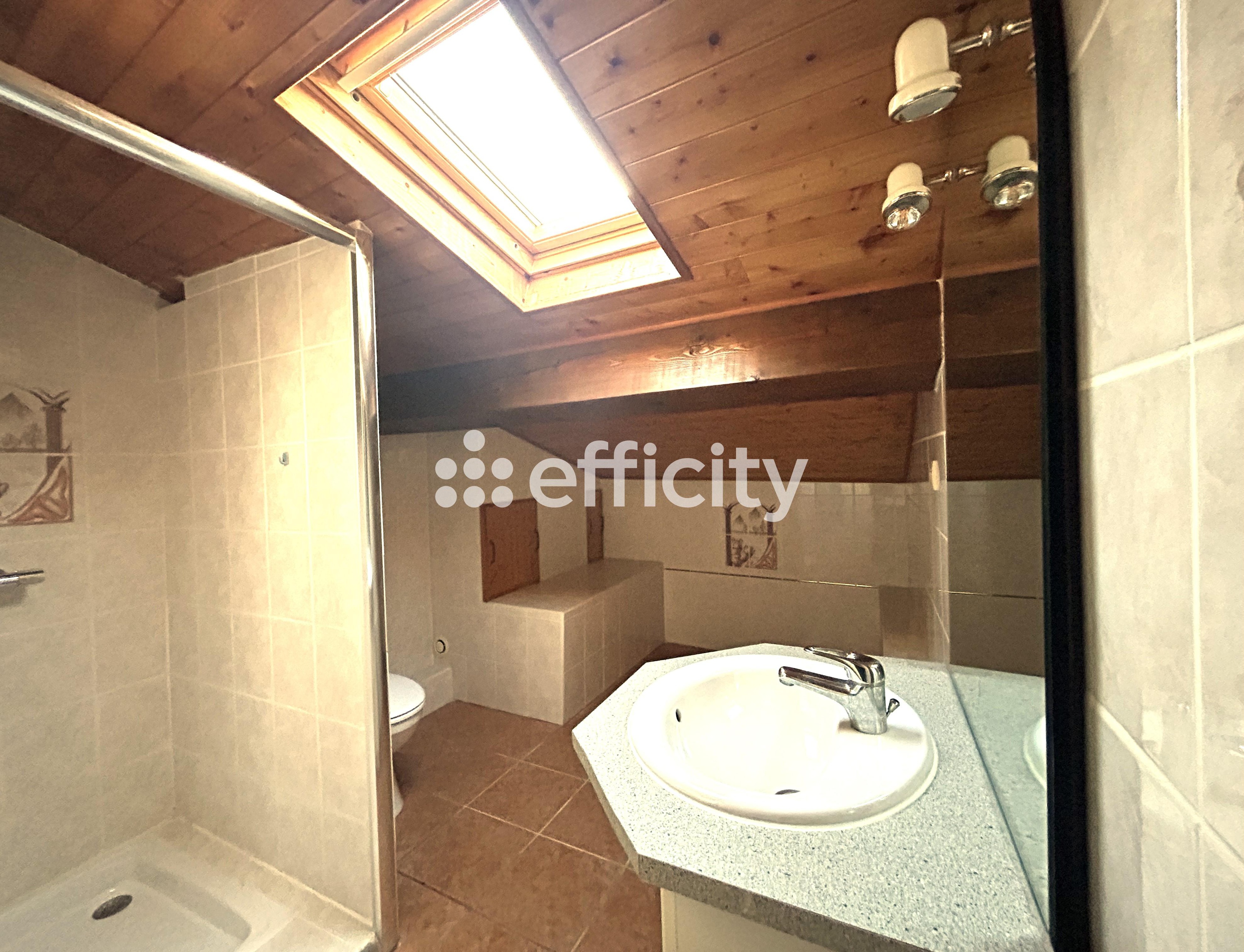 Achat immobilier Maison 3 pièces  60m2 à Panissières (42360) - Photo n°7