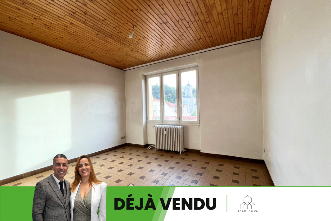 appartement 3 pièces - 57m2 à Givors (69700)