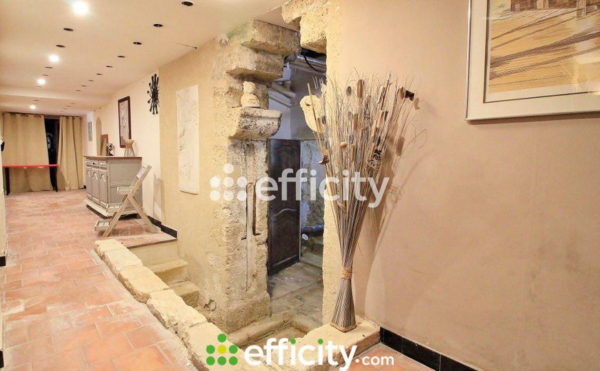 Achat immobilier Maison 33 pièces  1000m2 à Entraigues-sur-la-Sorgue (84320) - Photo n°13