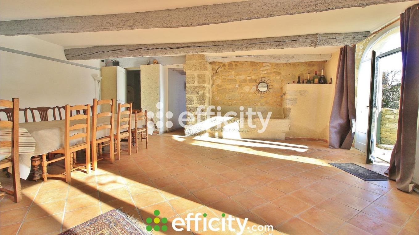 Achat immobilier Maison 33 pièces  1000m2 à Entraigues-sur-la-Sorgue (84320) - Photo n°6