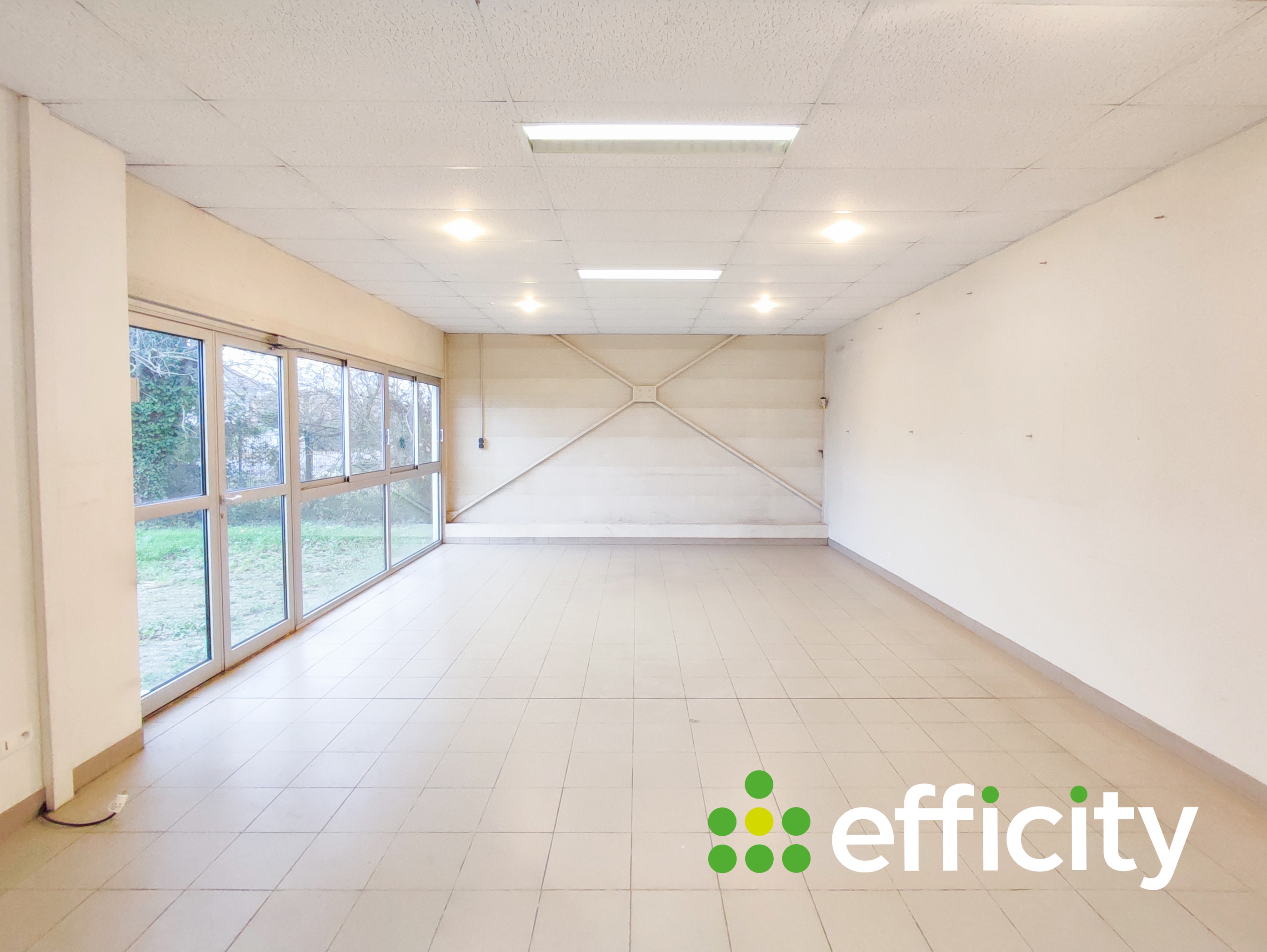 Achat immobilier Local commercial 5 pièces  550m2 à Pont-de-Vaux (01190) - Photo n°4