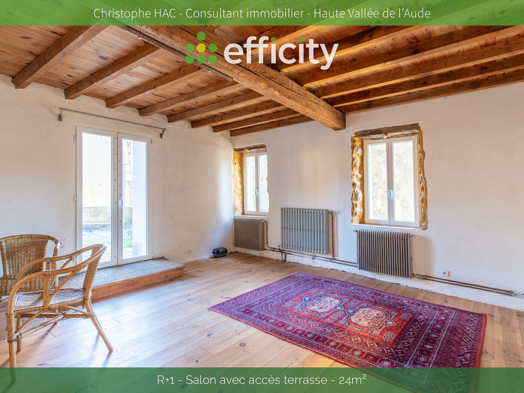 Achat immobilier Maison 15 pièces  280m2 à Fourtou (11190) - Photo n°8