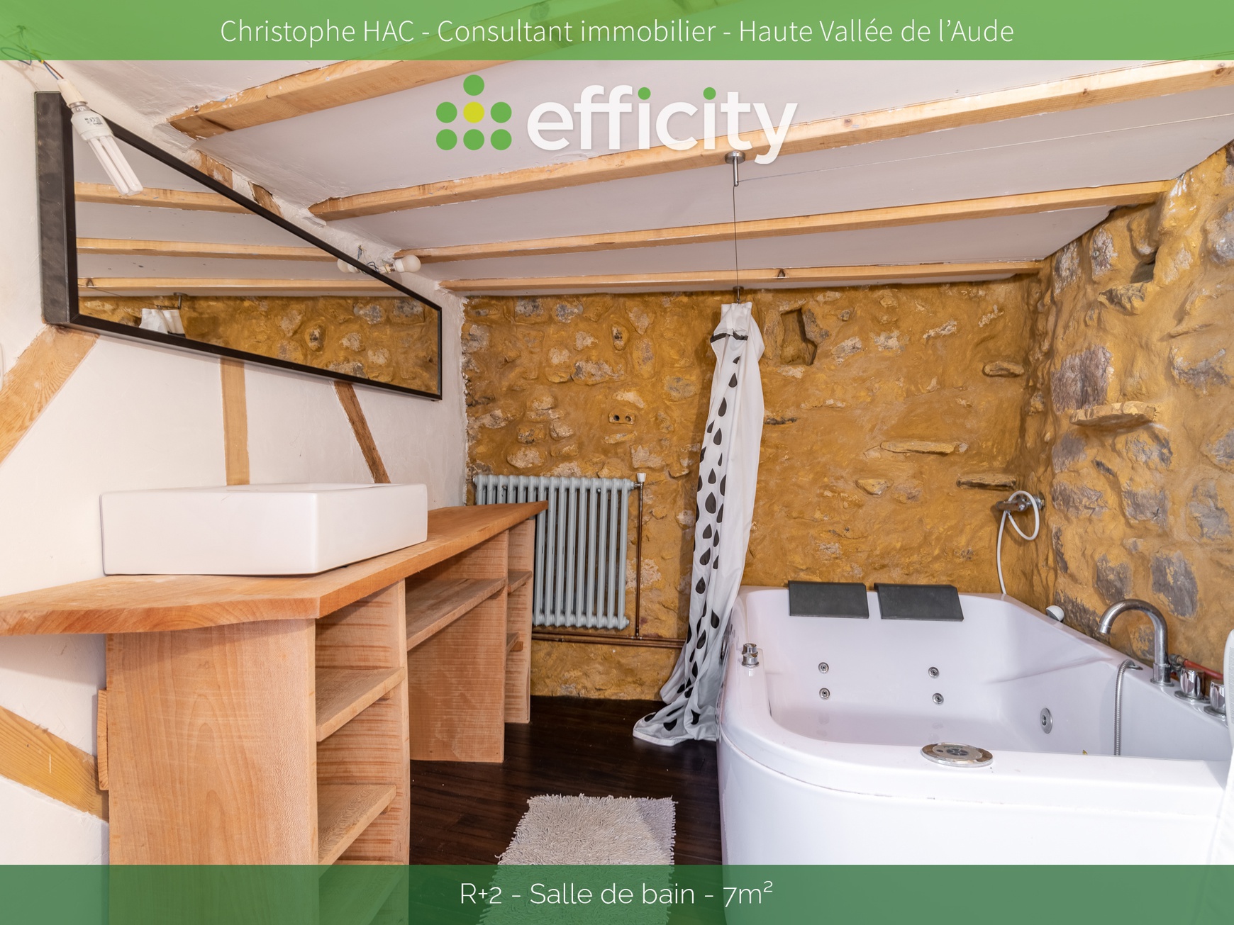 Achat immobilier Maison 15 pièces  280m2 à Fourtou (11190) - Photo n°4