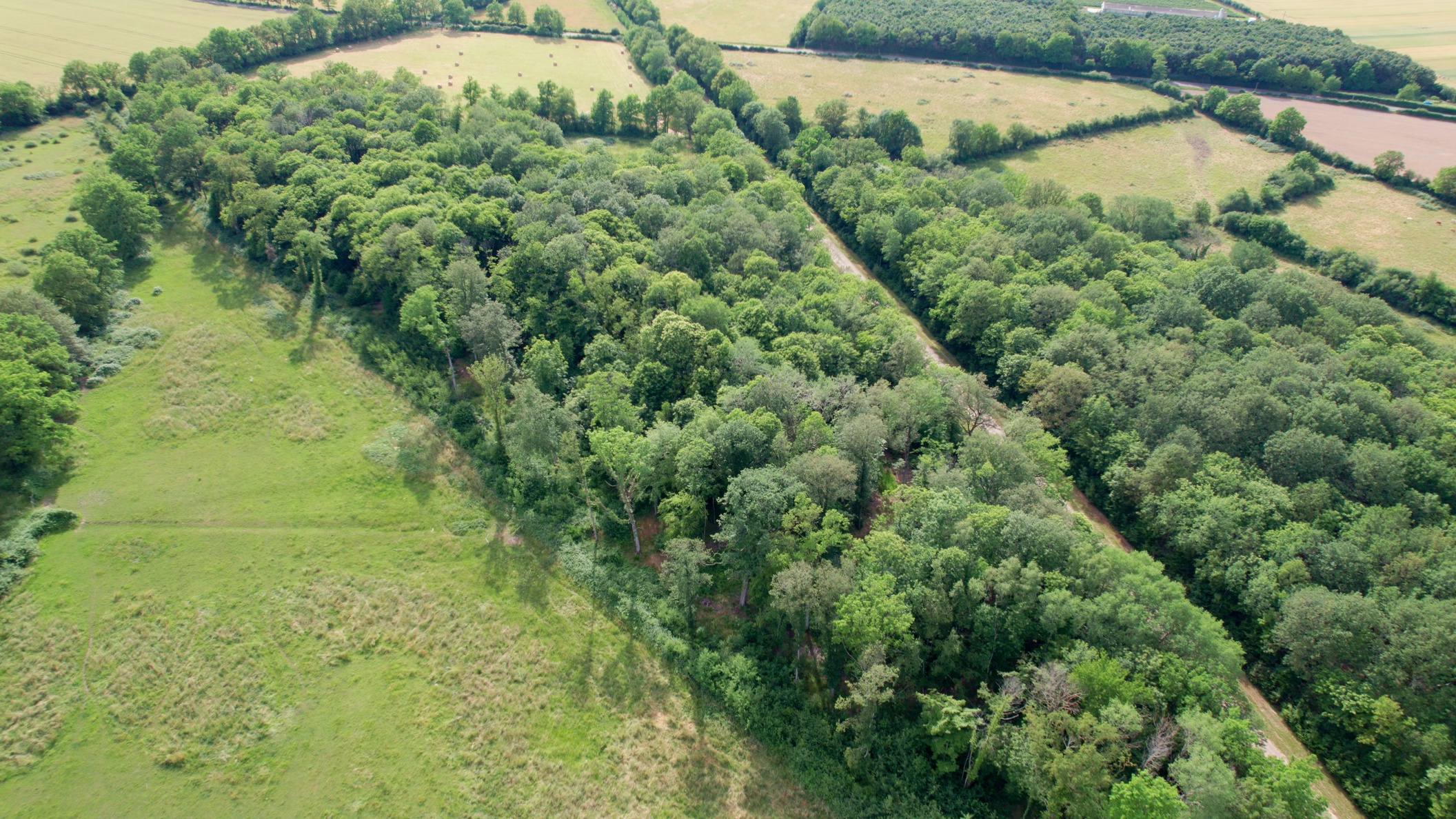 terrain  - 33986m2 à Tresson (72440)