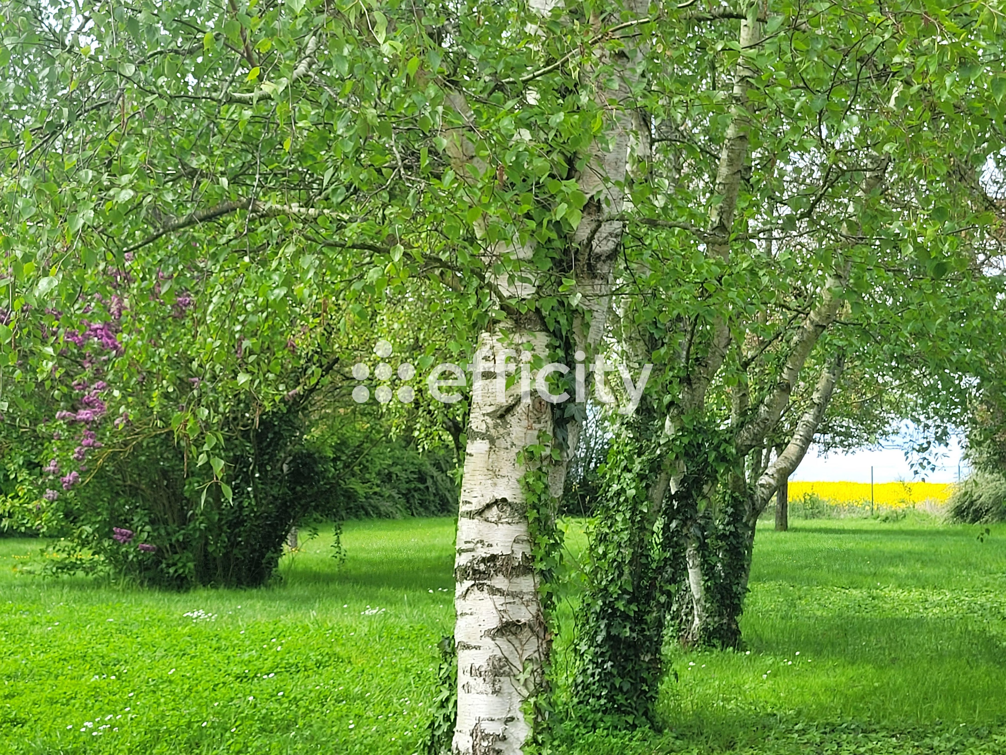 Achat immobilier Maison 7 pièces  180m2 à La Chapelle-d'Aunainville (28700) - Photo n°5