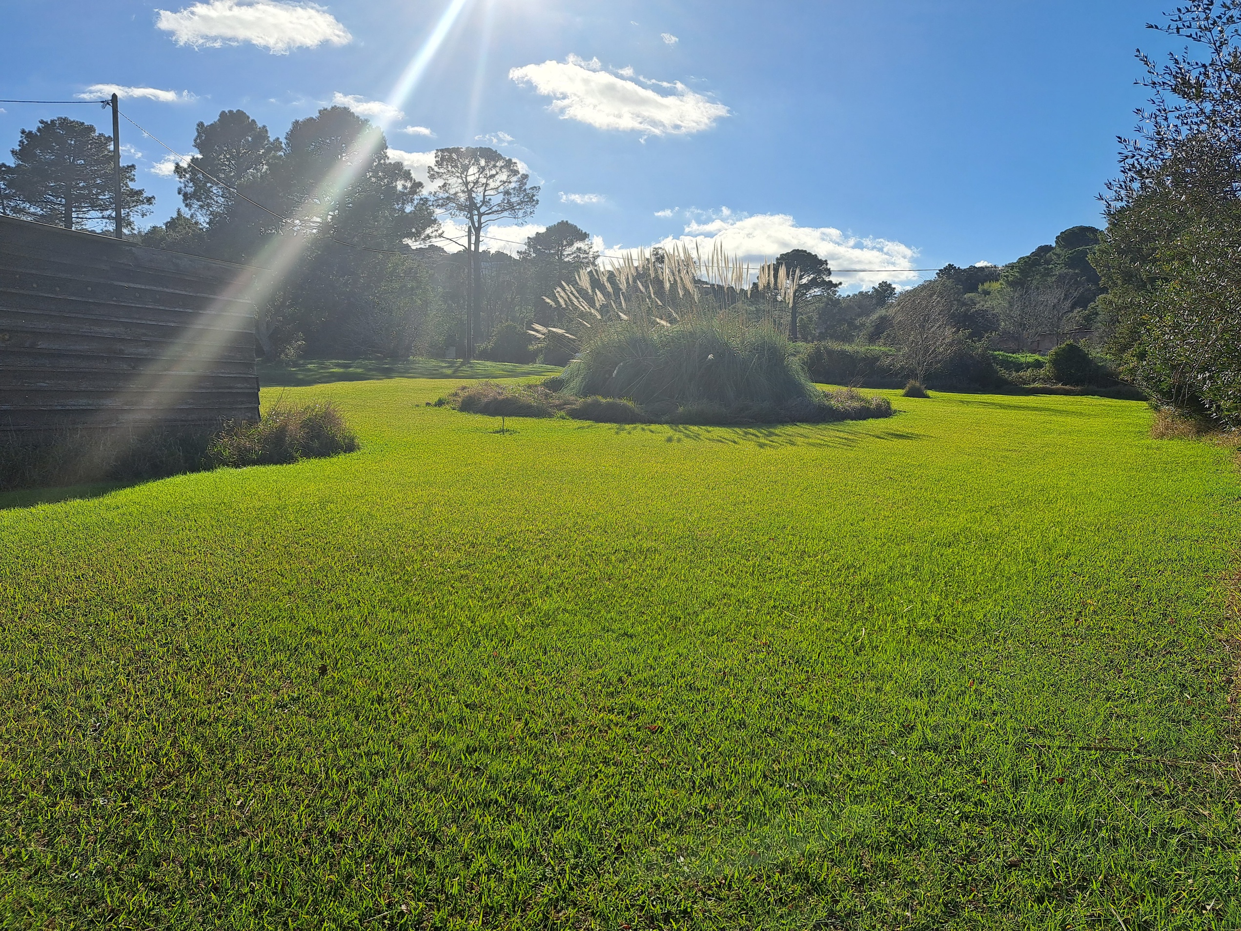 terrain  - 4023m2 à Porto-Vecchio (20137)
