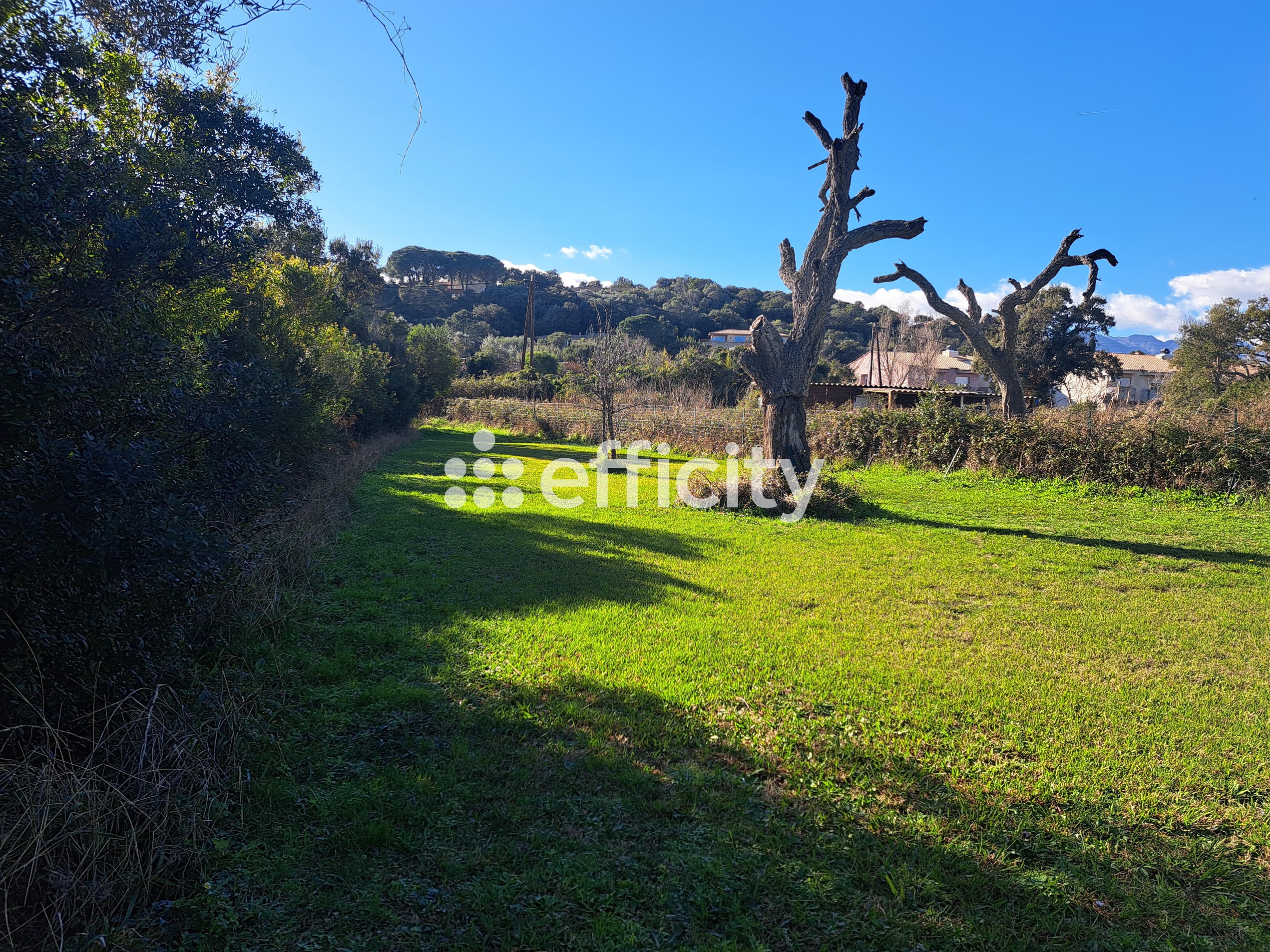 terrain  - 4023m2 à Porto-Vecchio (20137)
