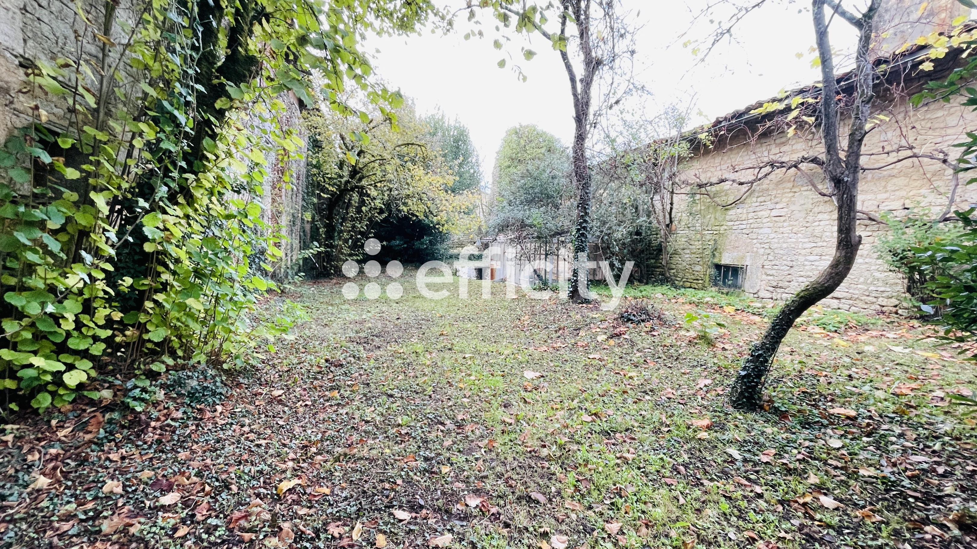 Achat immobilier Maison 10 pièces  329m2 à Courcerac (17160) - Photo n°16