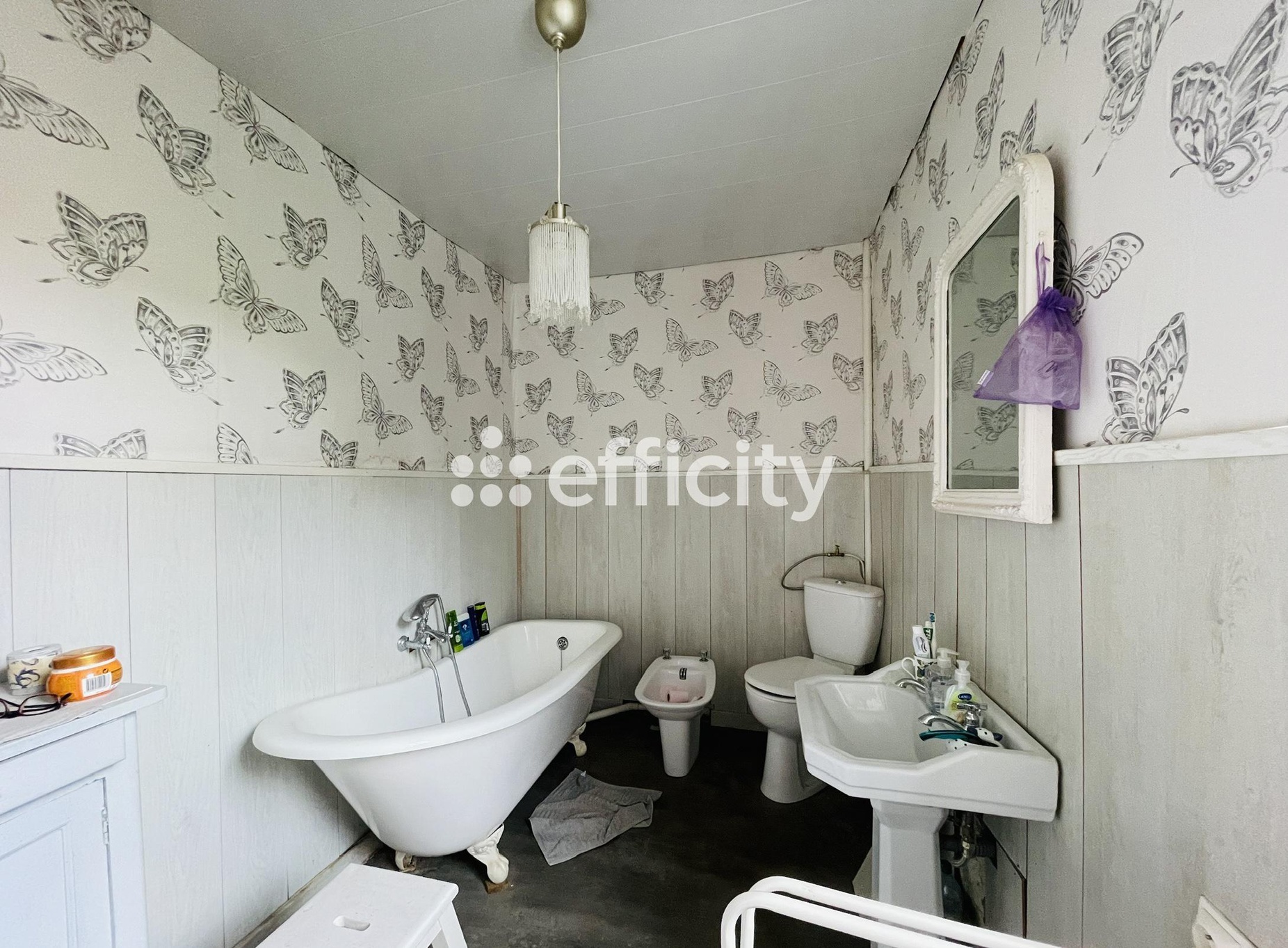 Achat immobilier Maison 10 pièces  329m2 à Courcerac (17160) - Photo n°10