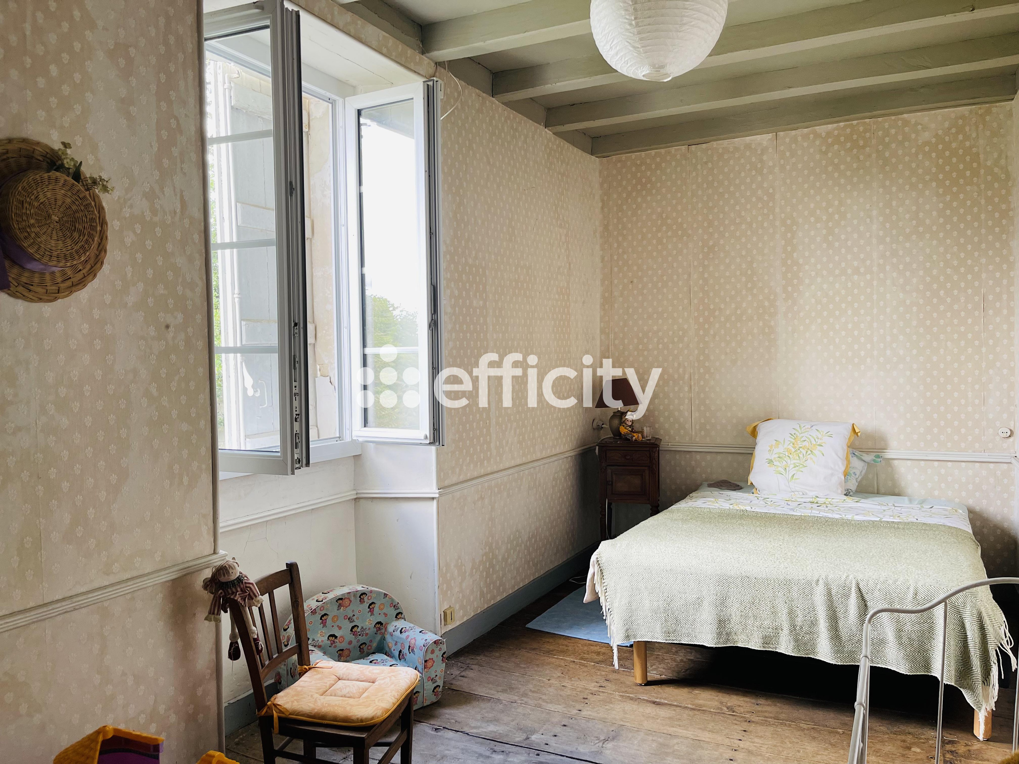 Achat immobilier Maison 10 pièces  329m2 à Courcerac (17160) - Photo n°13