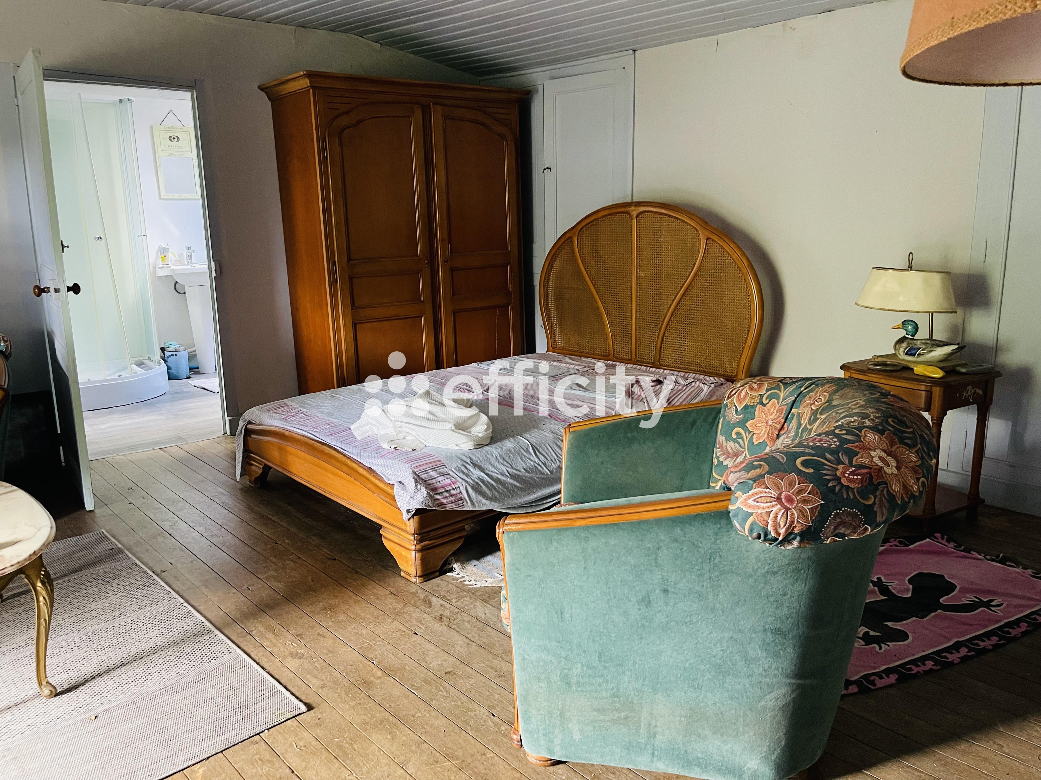 Achat immobilier Maison 10 pièces  329m2 à Courcerac (17160) - Photo n°14