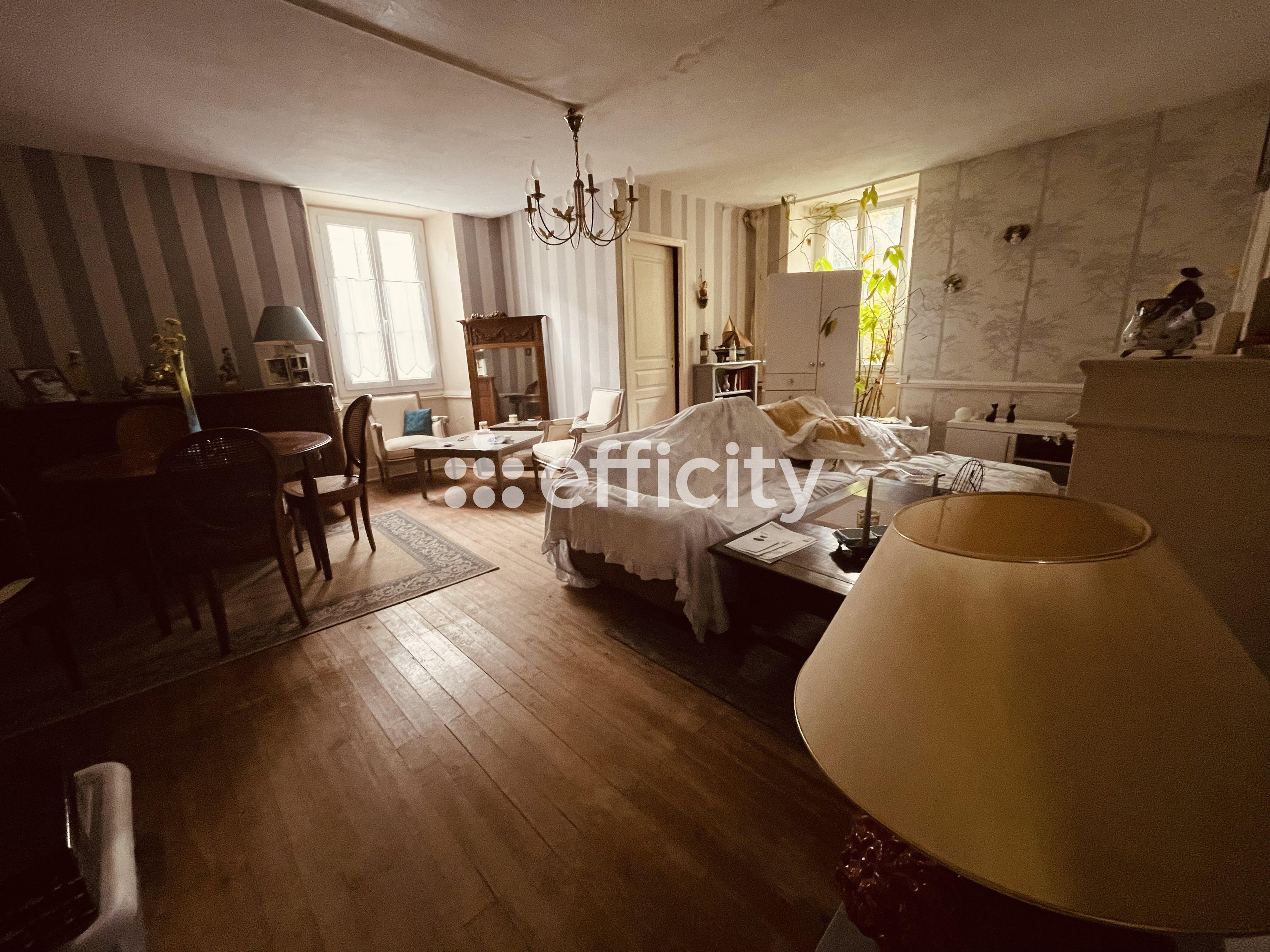 Achat immobilier Maison 10 pièces  329m2 à Courcerac (17160) - Photo n°7