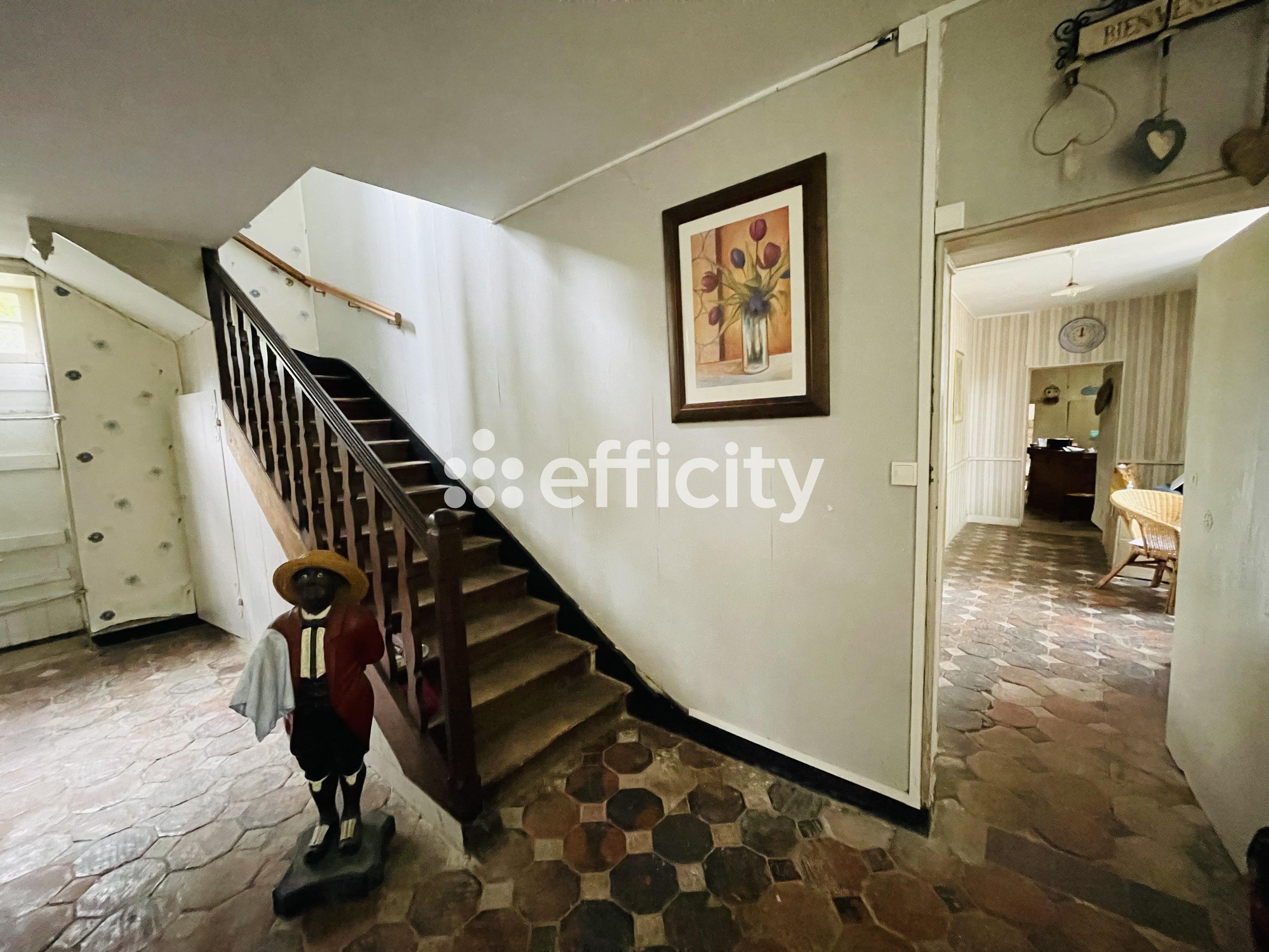 Achat immobilier Maison 10 pièces  329m2 à Courcerac (17160) - Photo n°5