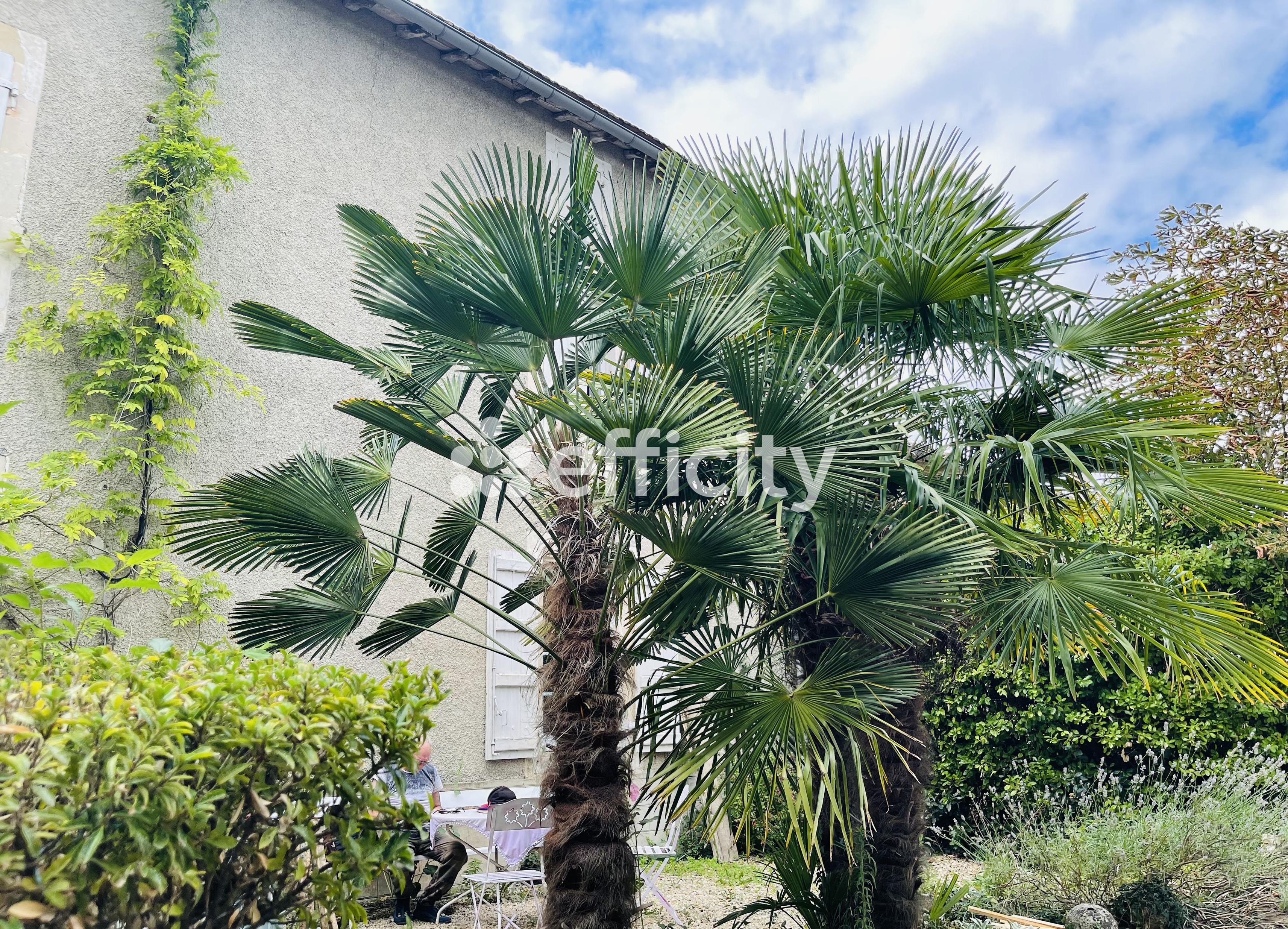 Achat immobilier Maison 10 pièces  329m2 à Courcerac (17160) - Photo n°4