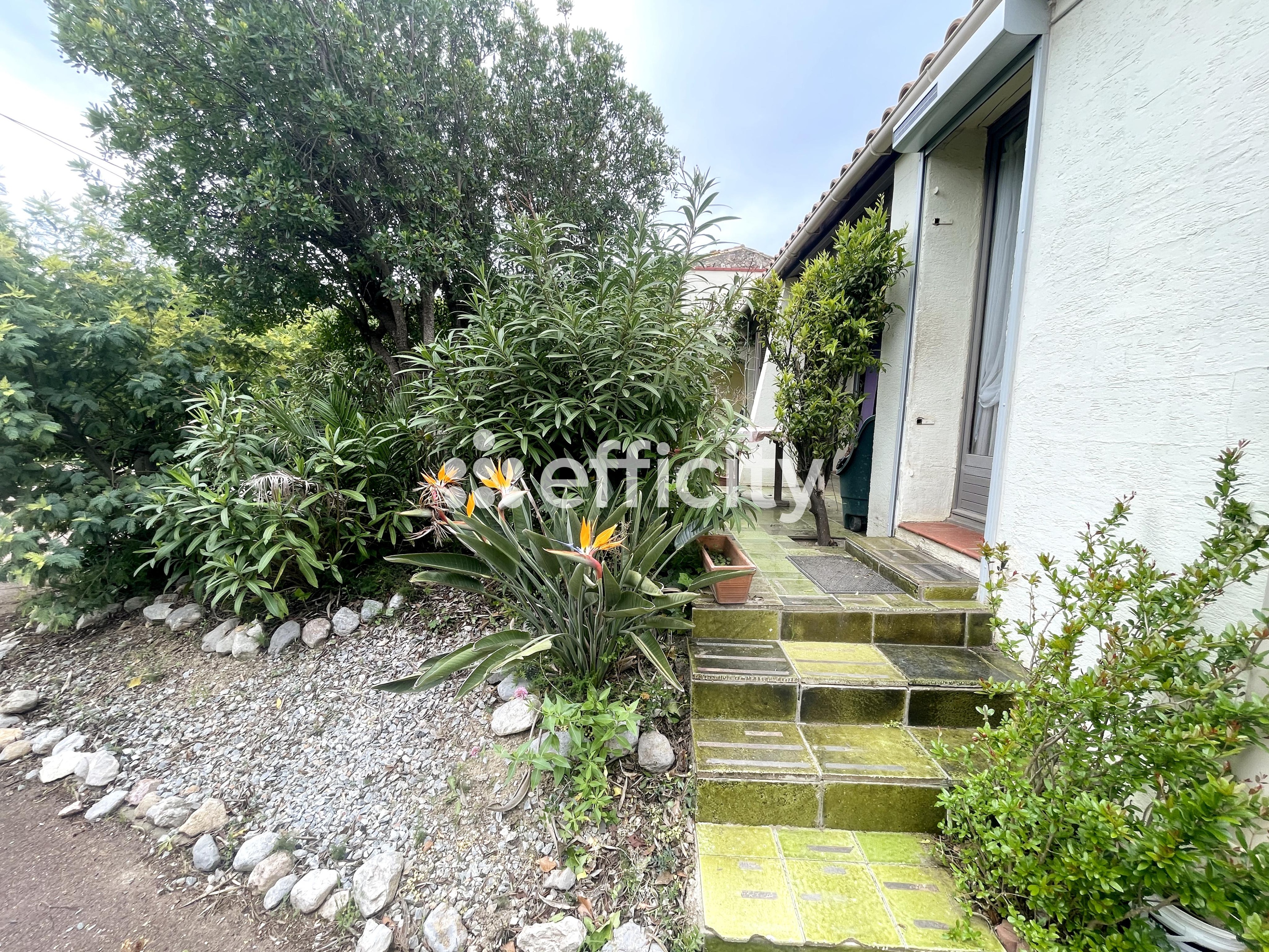 Achat immobilier Maison 6 pièces  154m2 à Leucate (11510) - Photo n°4