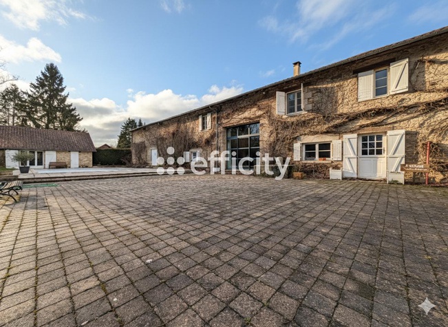 maison 10 pièces - 374m2 à Boisseuil (87220)