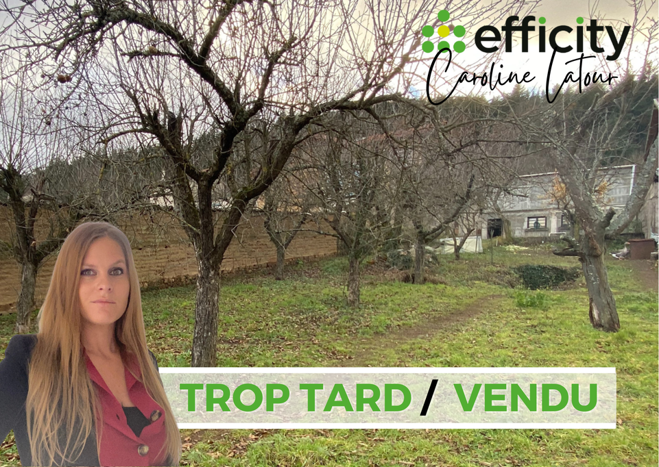 maison 1 pièces - 78m2 à Sail-sous-Couzan (42890)