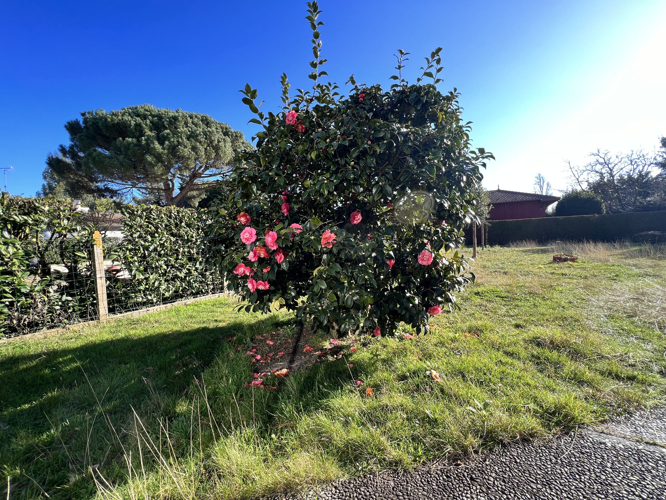 maison 5 pièces - 130m2 à La Teste-de-Buch (33260)