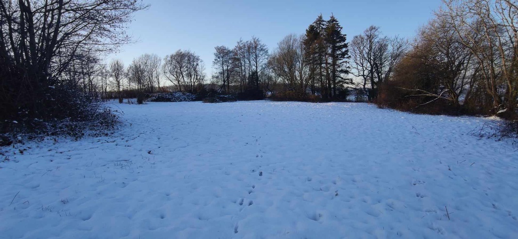 terrain  - 5352m2 à Souleuvre en Bocage (14350)
