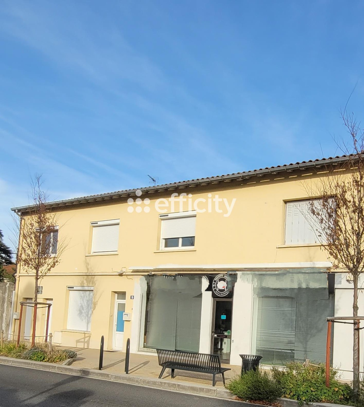 Achat immobilier Immeuble 7 pièces  250m2 à Pamiers (09100) - Photo n°8