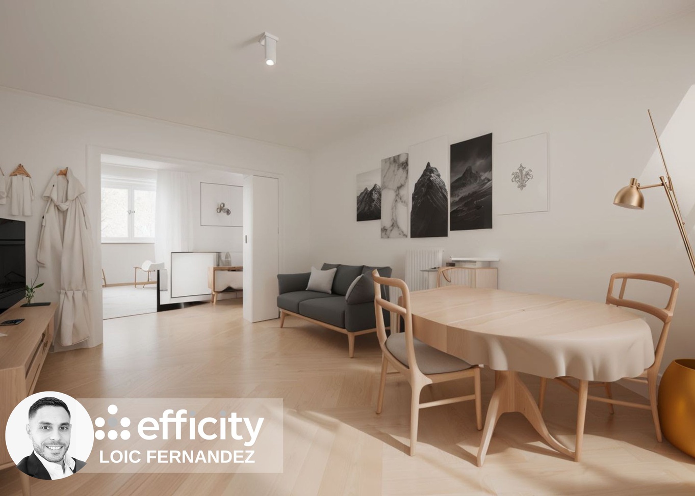 appartement 3 pièces - 53m2 à Miribel (01700)