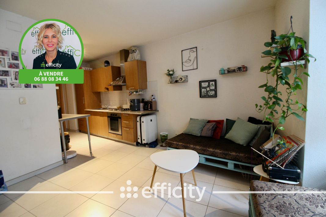 appartement 2 pièces - 31m2 à Sélestat (67600)