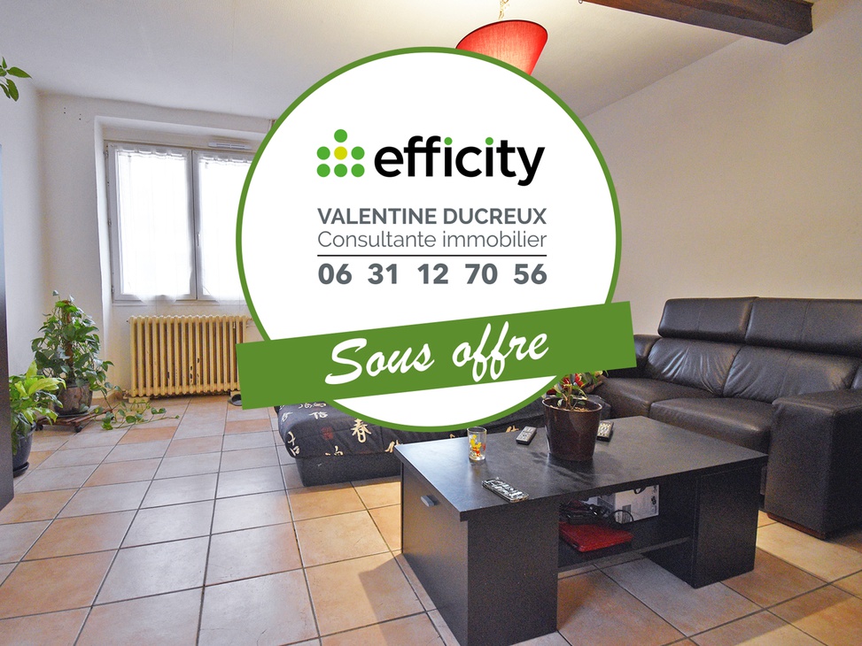 immeuble 7 pièces - 150m2 à Chazelles-sur-Lyon (42140)