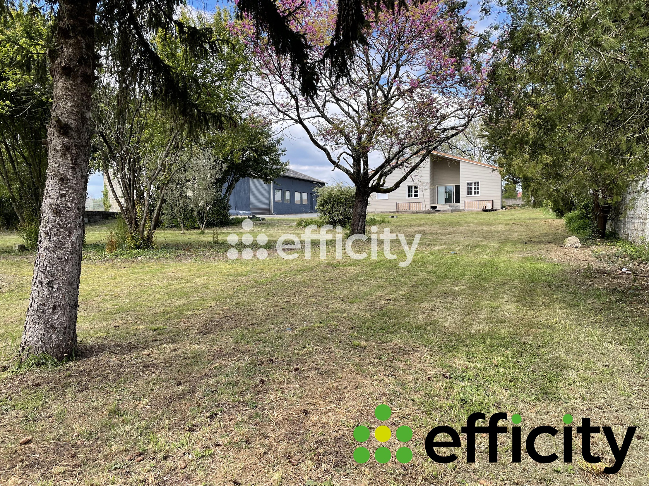 maison 5 pièces - 179m2 à Surgères (17700)