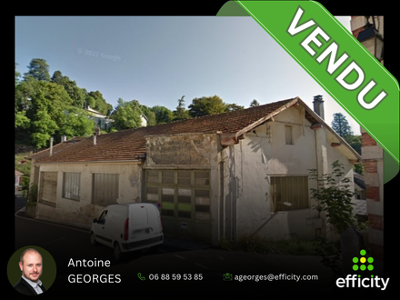 immeuble 6 pièces - 300m2 à Saint-Geoire-en-Valdaine (38620)