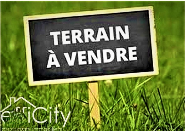 terrain  - 6473m2 à Saint-Paterne-Racan (37370)