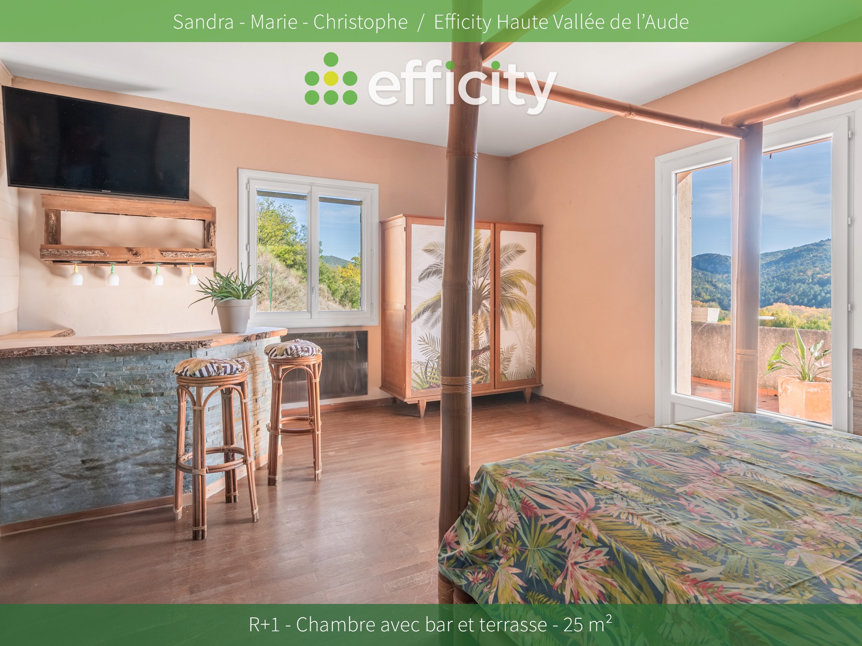 Achat immobilier Maison 14 pièces  430m2 à Montazels (11190) - Photo n°15