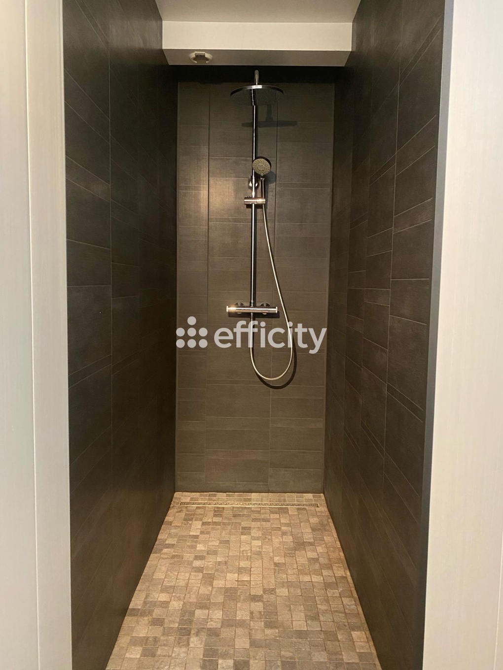 Achat immobilier Maison 16 pièces  310m2 à Vannes (56390) - Photo n°14