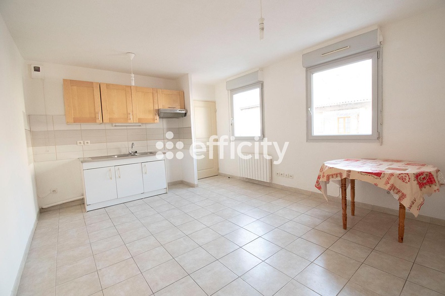 appartement 1 pièces - 24m2 à Saint-Laurent-sur-Saône (01750)