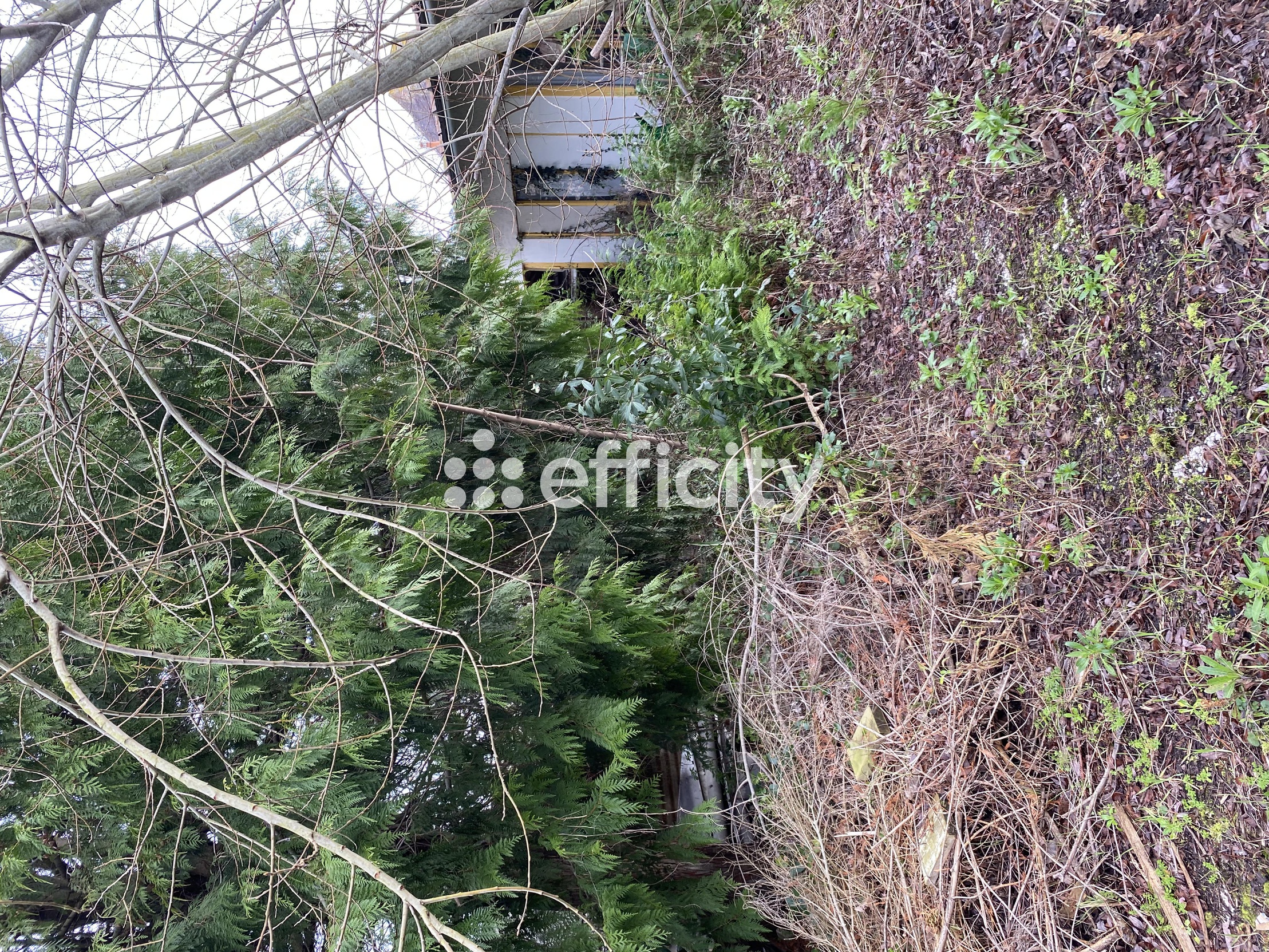 terrain  - 296m2 à Lion-sur-Mer (14780)