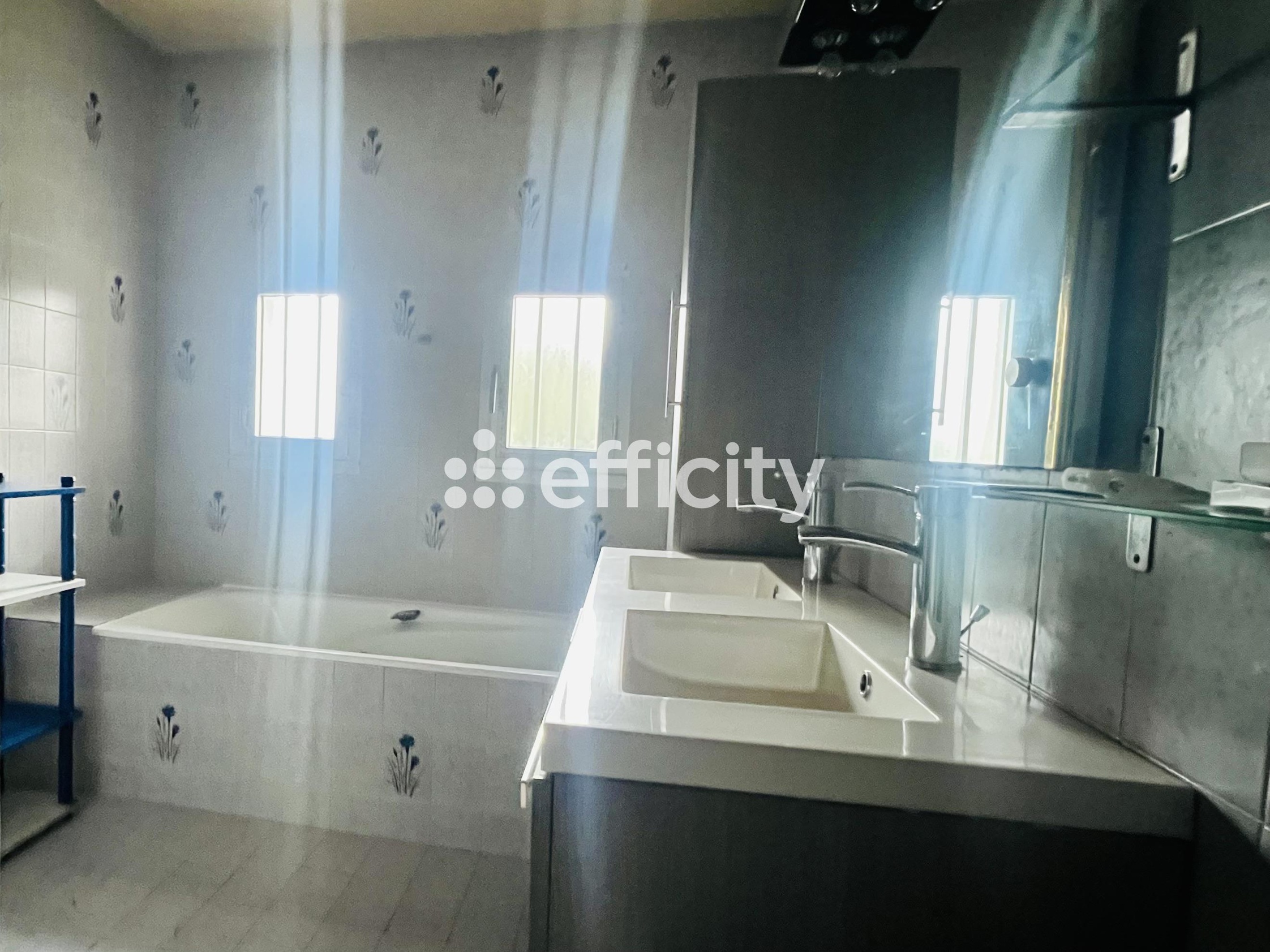 Achat immobilier Maison 7 pièces  345m2 à Batz-sur-Mer (44740) - Photo n°13