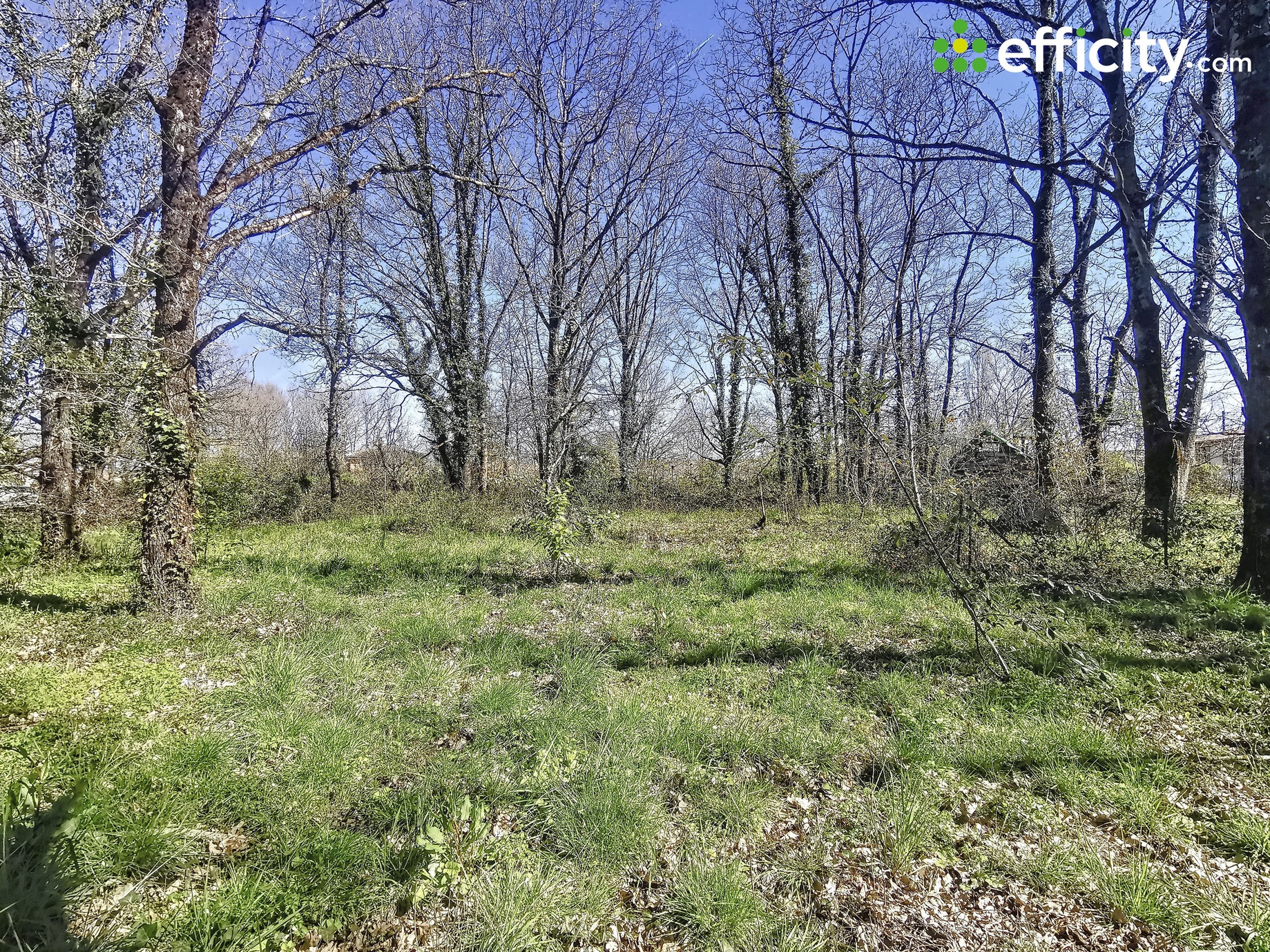 terrain  - 2000m2 à Villemade (82130)