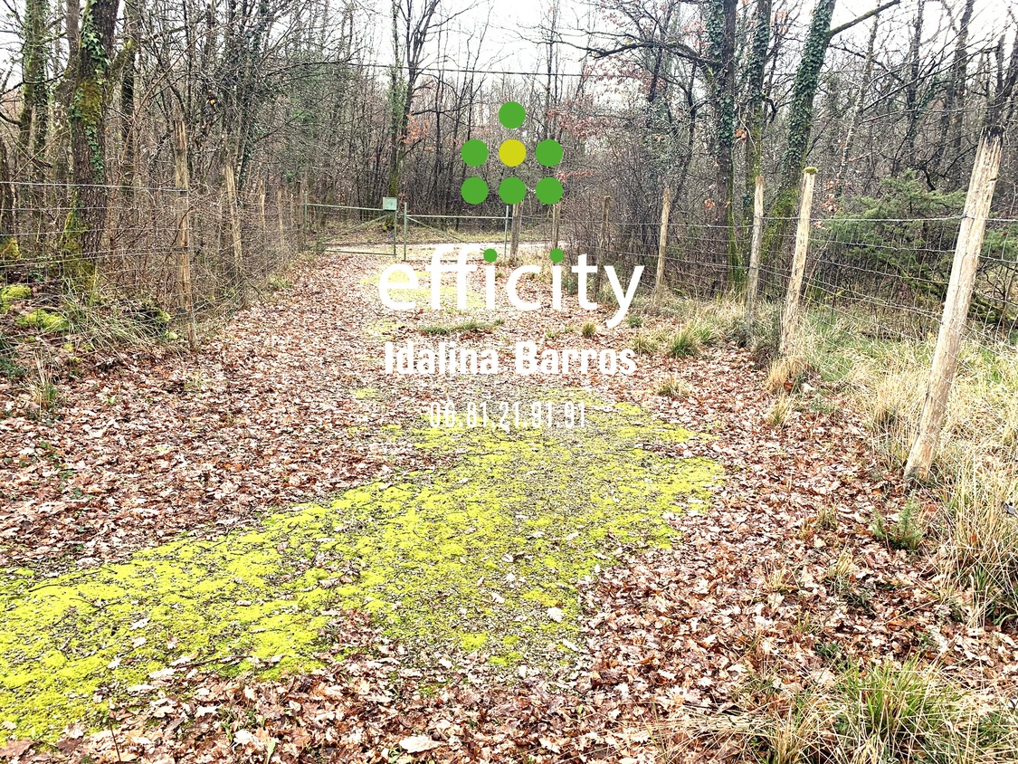 terrain  - 20595m2 à Aigre (16140)