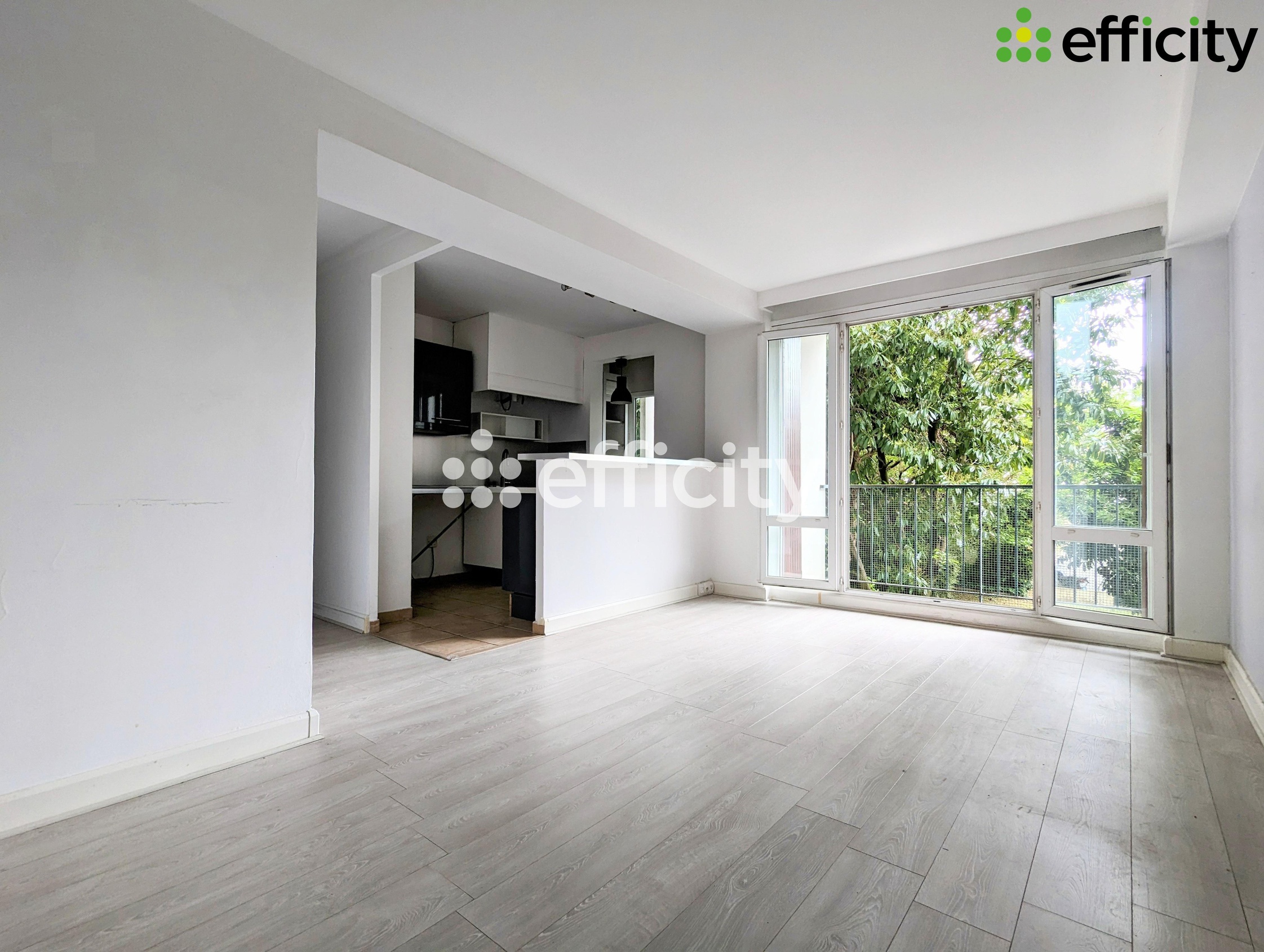 appartement 3 pièces - 55m2 à Charenton-le-Pont (94220)