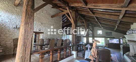 Achat immobilier Maison 6 pièces  420m2 à Saintes (17100) - Photo n°12