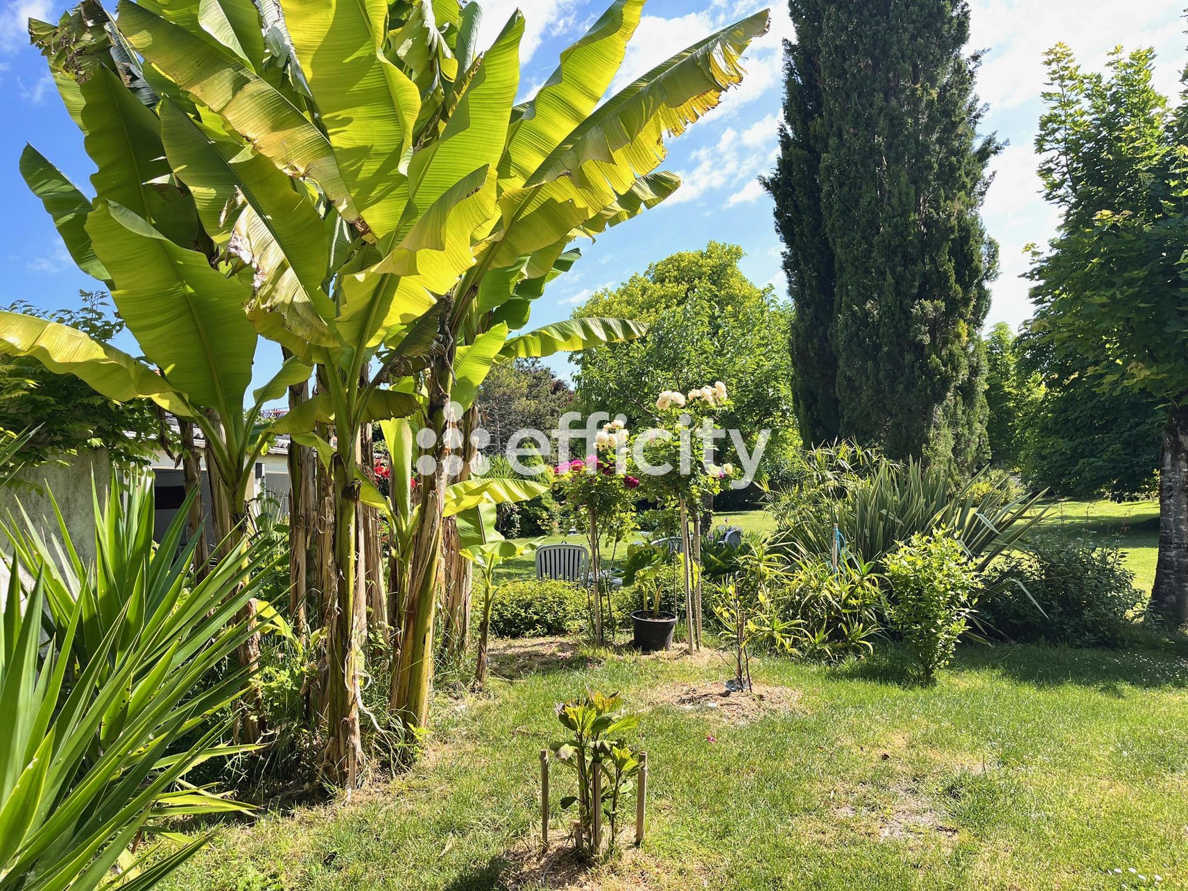 Achat immobilier Maison 6 pièces  420m2 à Saintes (17100) - Photo n°23